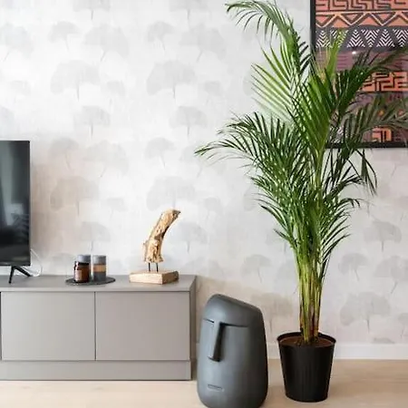 Tribal 1br In Aviatiei *