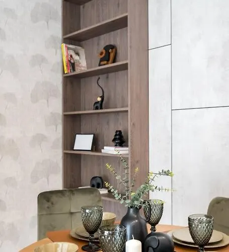 公寓 Tribal 1br In Aviatiei 布加勒斯特