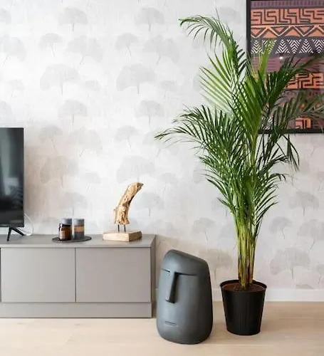 Tribal 1br In Aviatiei *